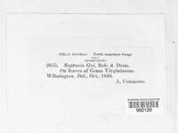 Image Associated With the Occurence